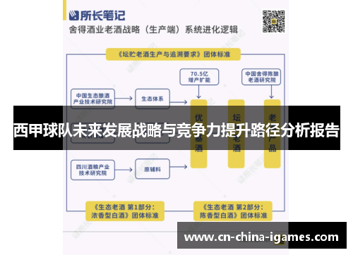 西甲球队未来发展战略与竞争力提升路径分析报告 西甲球队未来发展战略与竞争力提升路径分析报告